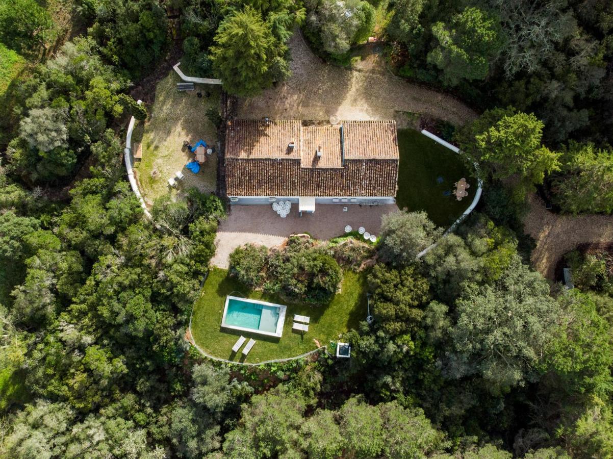 Holiday home Quinta Da Arrabida Sesimbra